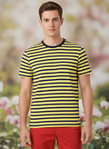 Mens Premium Cotton Striped Half Sleeve Crew Neck T-Shirts