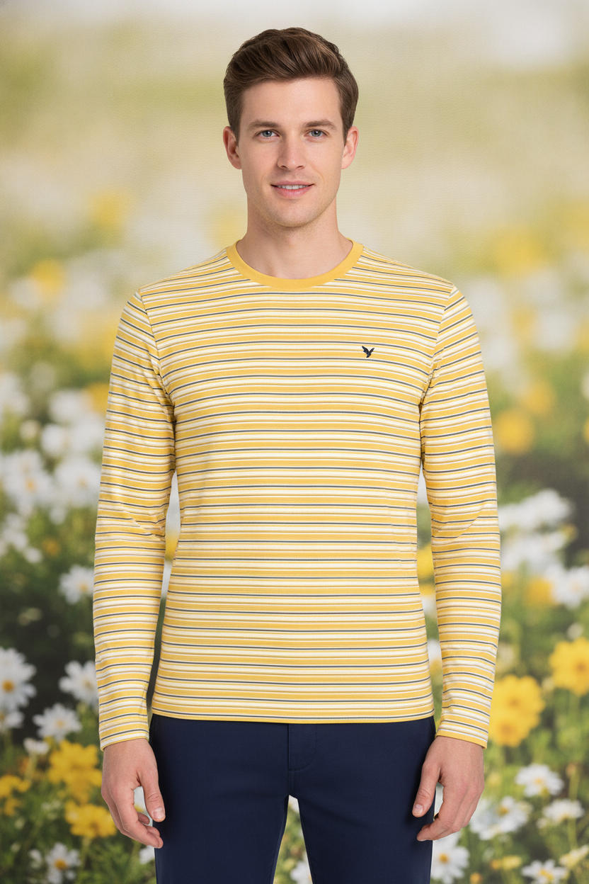 Mens Premium Cotton Striped Full Sleeve Crew Neck T-Shirts