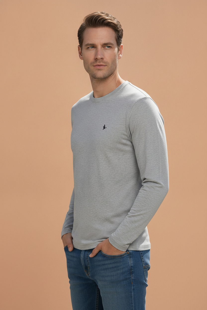 Mens Premium Cotton Printed Full Sleeve T-Shirts