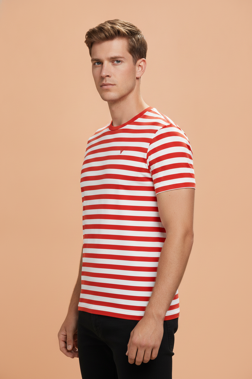Mens Premium Cotton Striped Half Sleeve Crew Neck T-Shirts