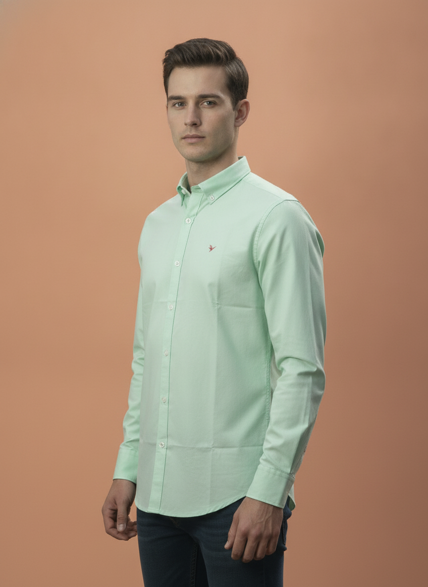 Men'S Premium Cotton Oxford Solid Shirt | Mint Green