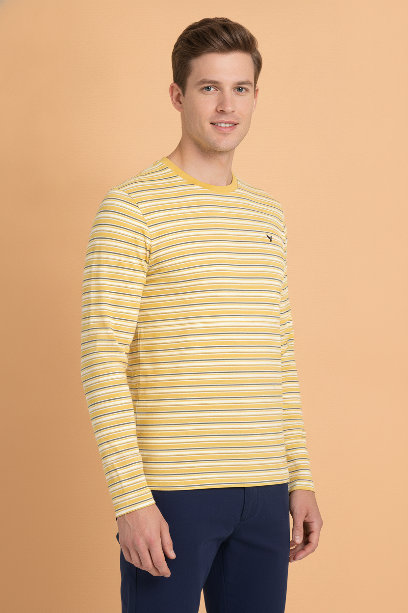 Mens Premium Cotton Striped Full Sleeve Crew Neck T-Shirts