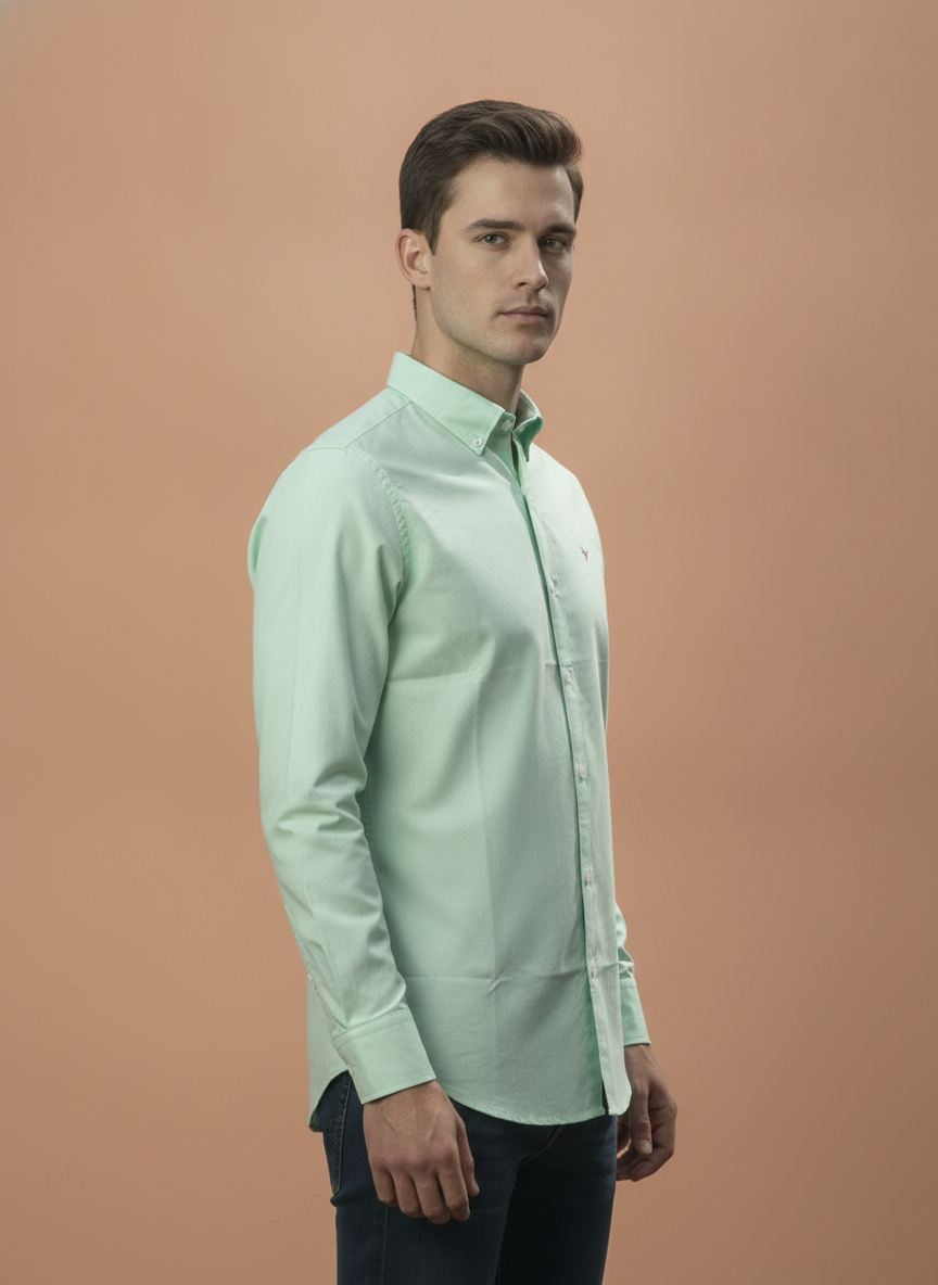 Men'S Premium Cotton Oxford Solid Shirt | Mint Green