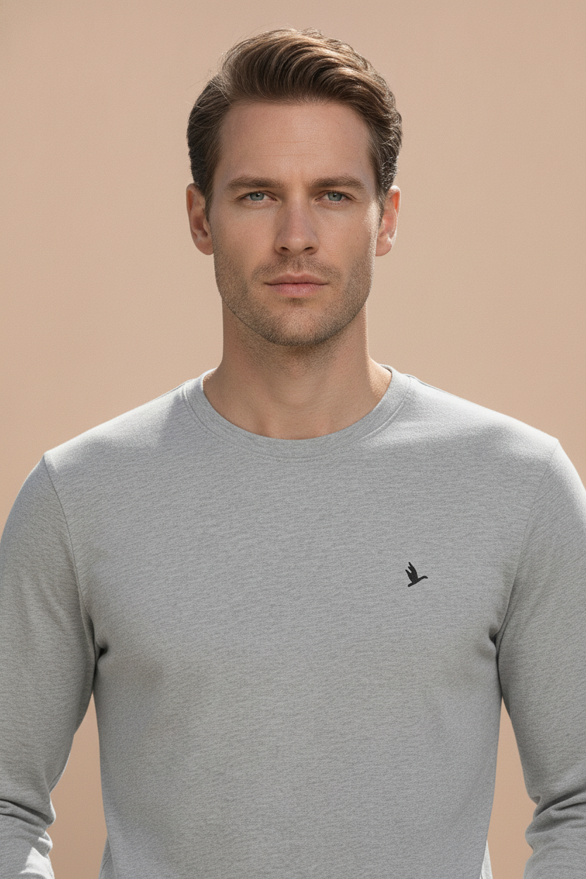Mens Premium Cotton Printed Full Sleeve T-Shirts