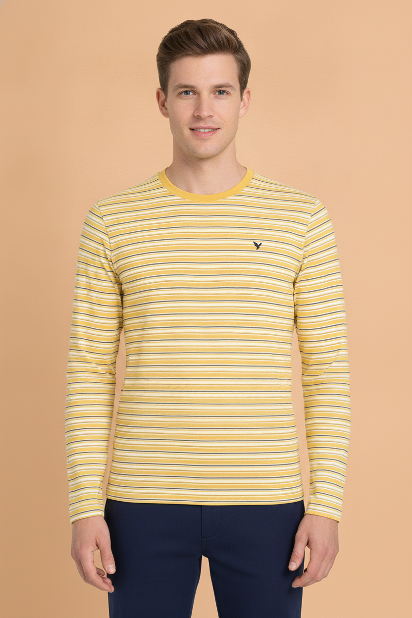 Mens Premium Cotton Striped Full Sleeve Crew Neck T-Shirts