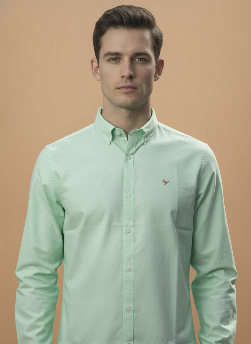 Men'S Premium Cotton Oxford Solid Shirt | Mint Green